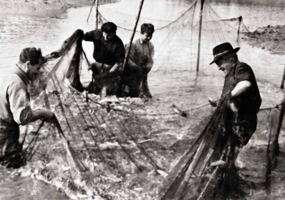 Pesca de estero en Los Tejares 1965