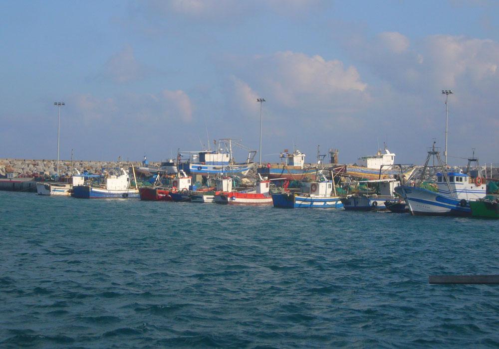 Flota pesquera