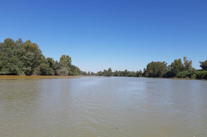 ultimo tramo Guadalquivir