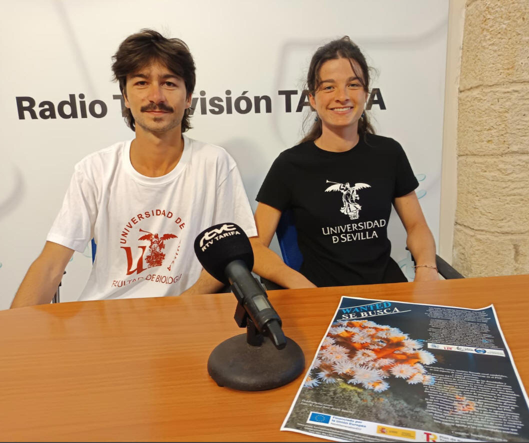 radio Tarifa