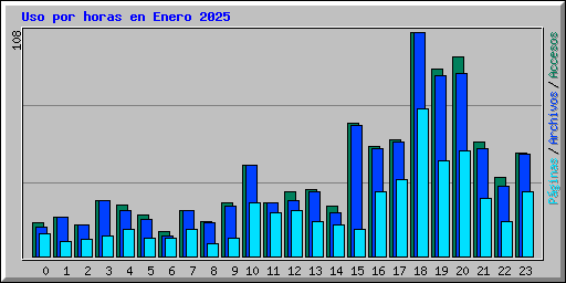 Uso por horas en Enero 2025