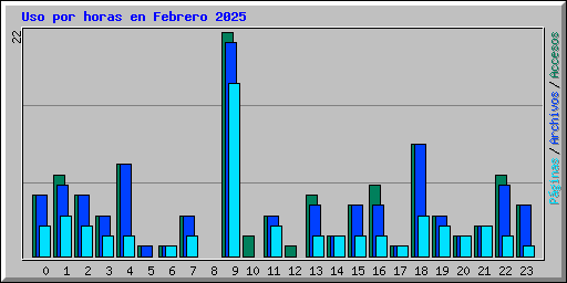 Uso por horas en Febrero 2025