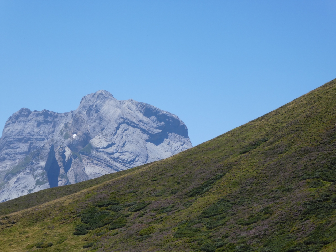 Pirineo