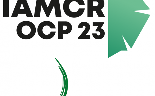 IAMCR lyon 23