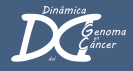 Dynamic of the Genome in Cancer