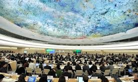 De camino al Foro de Naciones Unidas sobre Empresas y Derechos Humanos