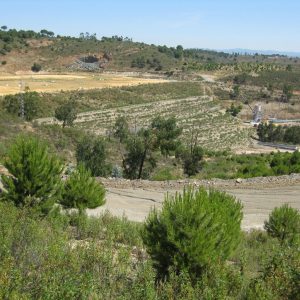 2011/2014 - The Dry Closure of Mine Tailings Dams