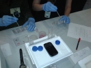 Detailed view of the preparation of the cell cultures by the Granada's Team. 