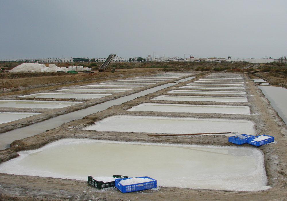 Salinas en Isla Cristina