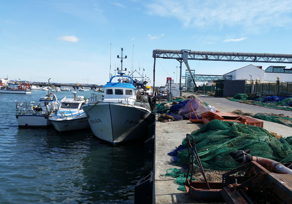 Embarcaciones y redes en el muelle