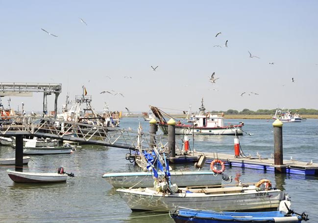 Botes auxiliares y richio o draga hidráulica