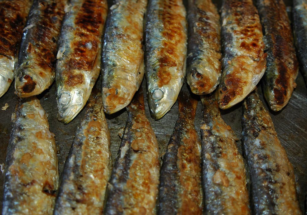 Sardinas