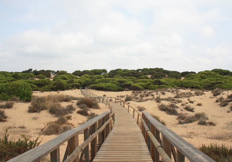 Paraje Natural Enebrales de Punta Umbría