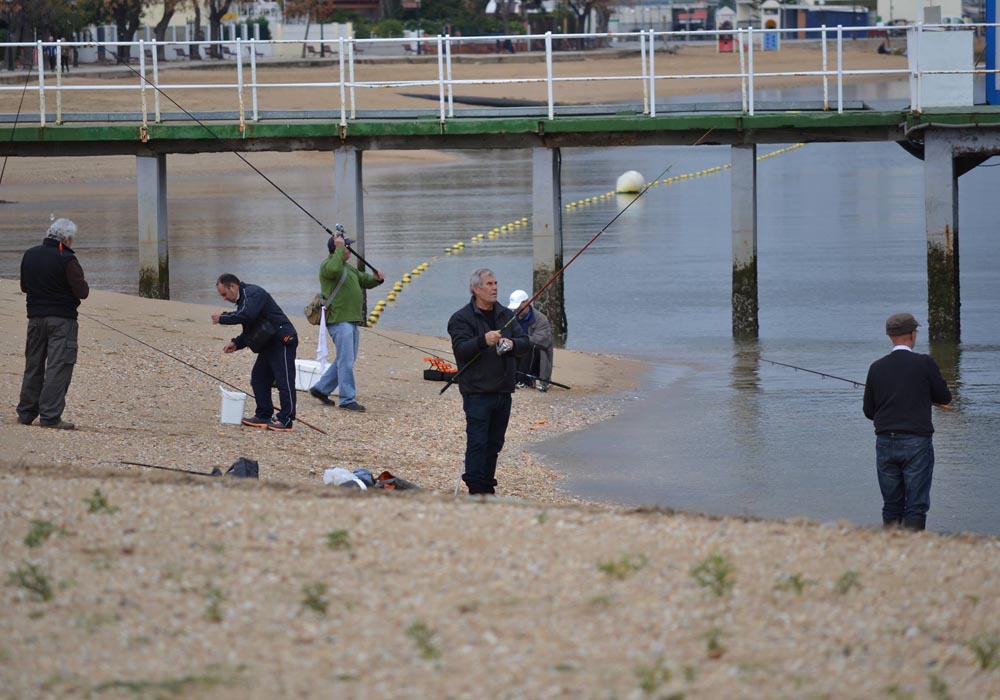 Pesca deportiva