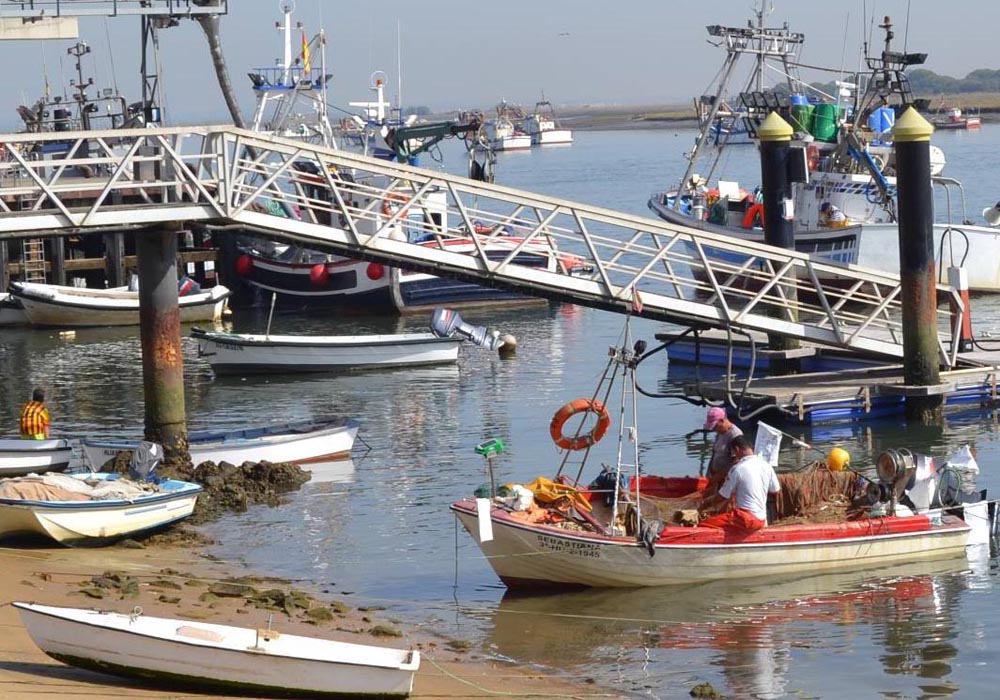 Pesquero de artes menores junto al embarcadero