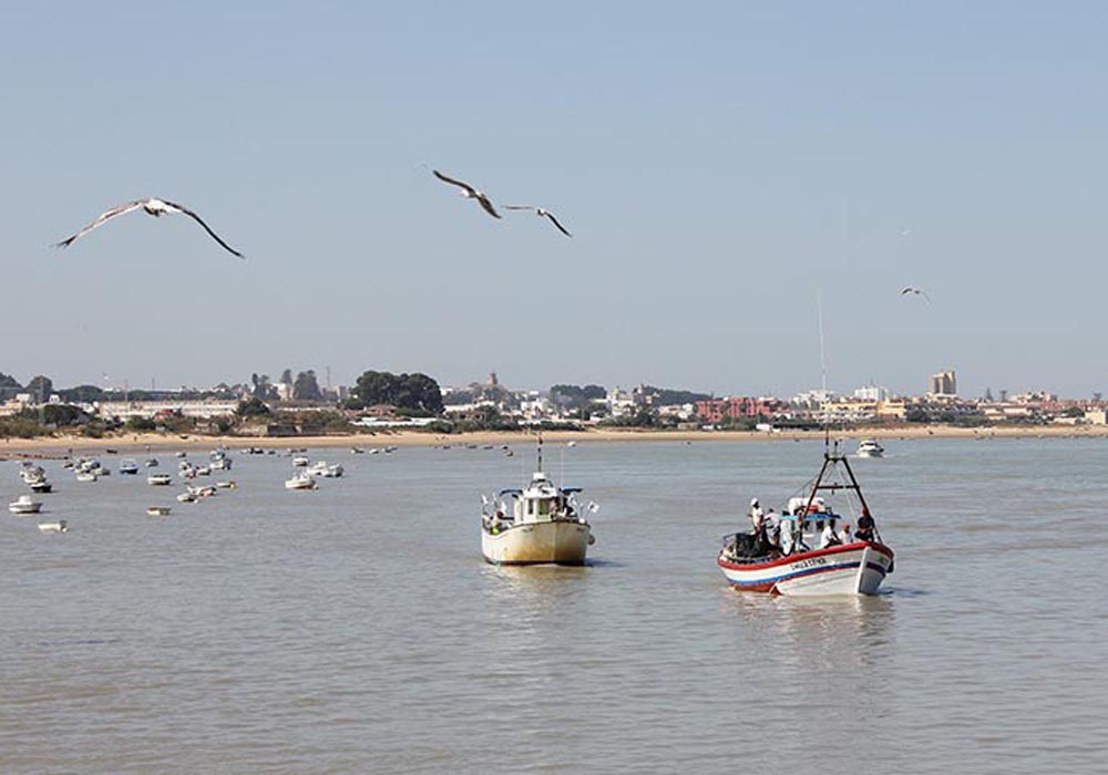 Pesqueros de artes menroes