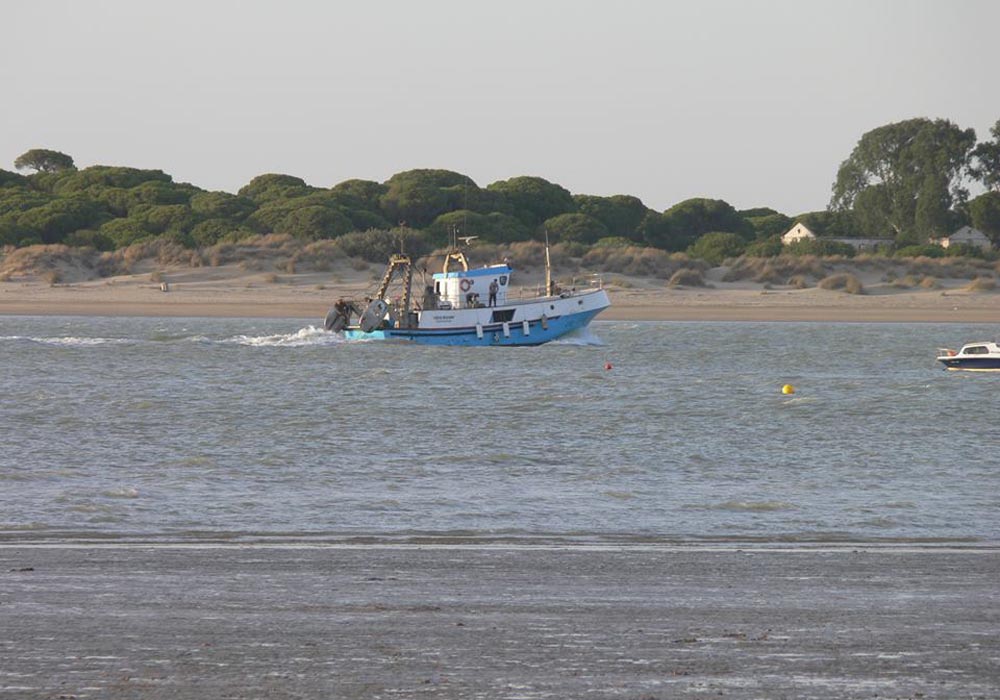 Parque Nacional de Doñana