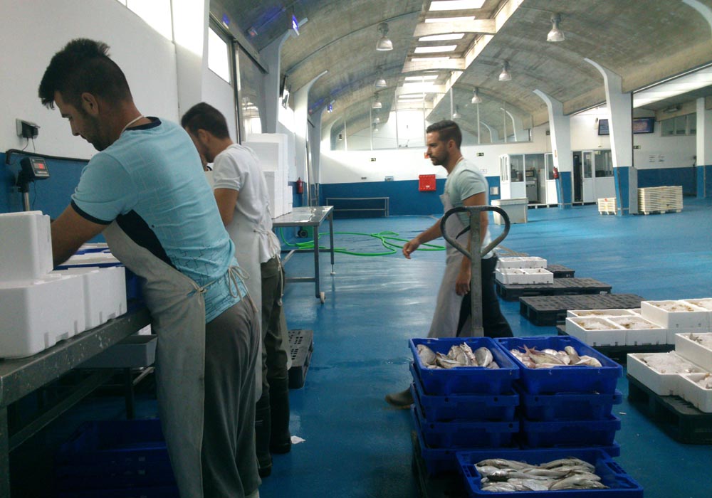 Manipulación de pescado en la lonja