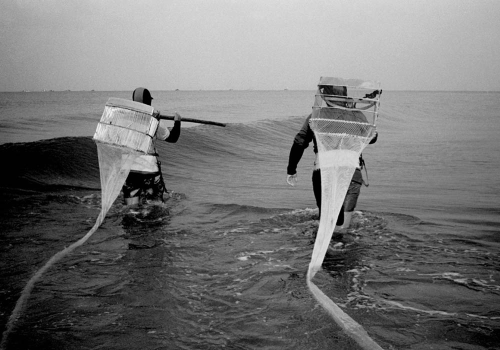 Mariscadores con rastro manual