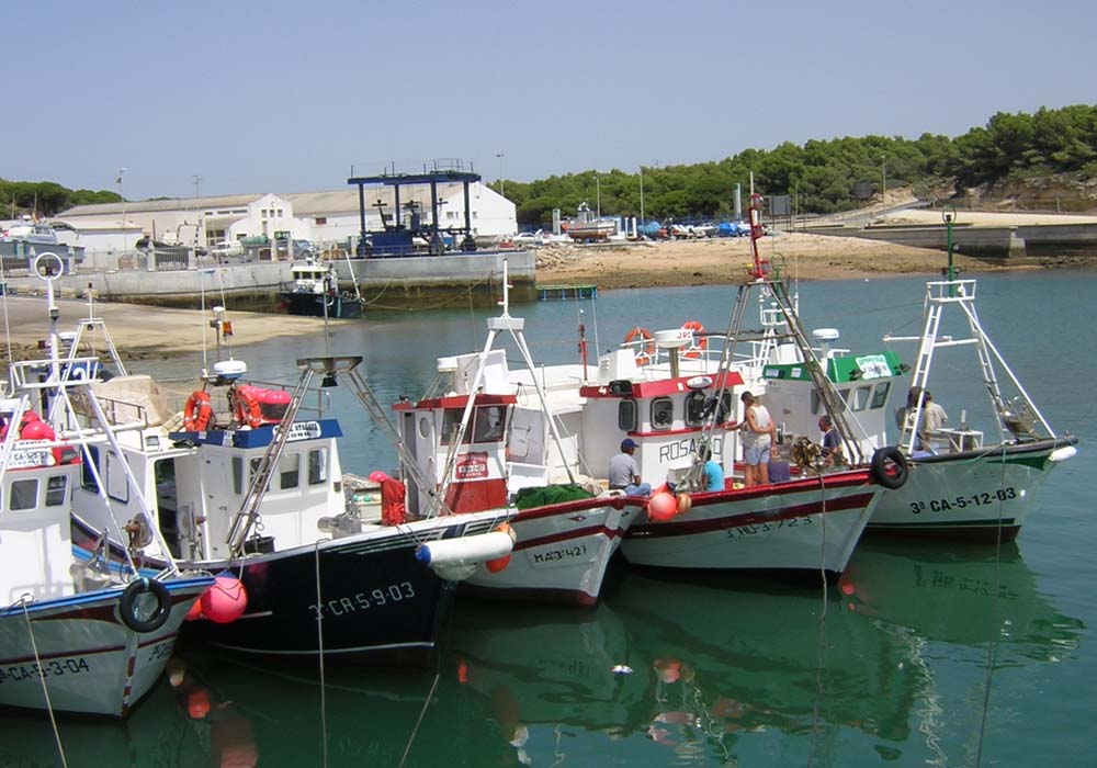 Flota pesquera de Conil