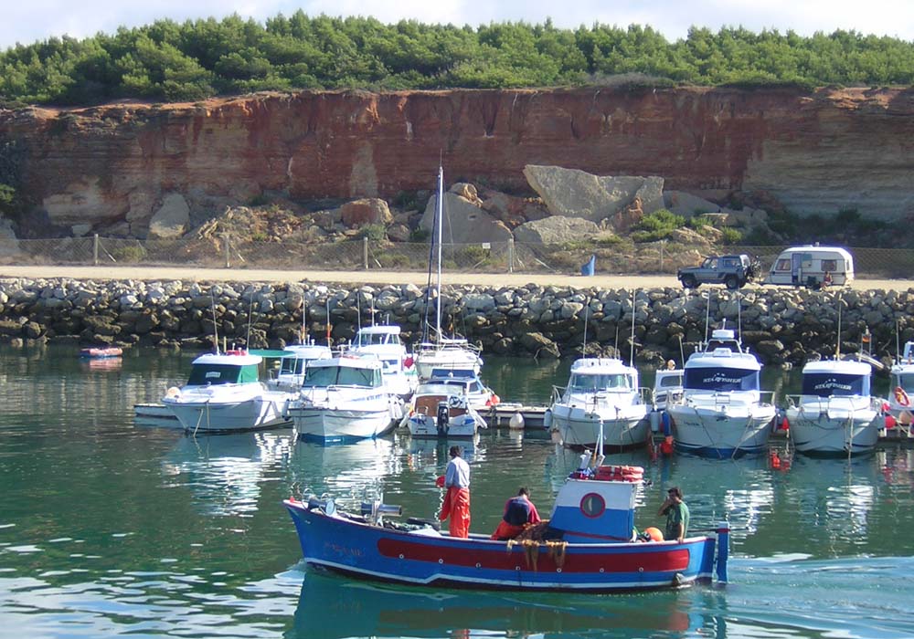 Flota pesquera de Conil