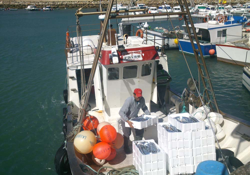 Pesquero al llegar al muelle