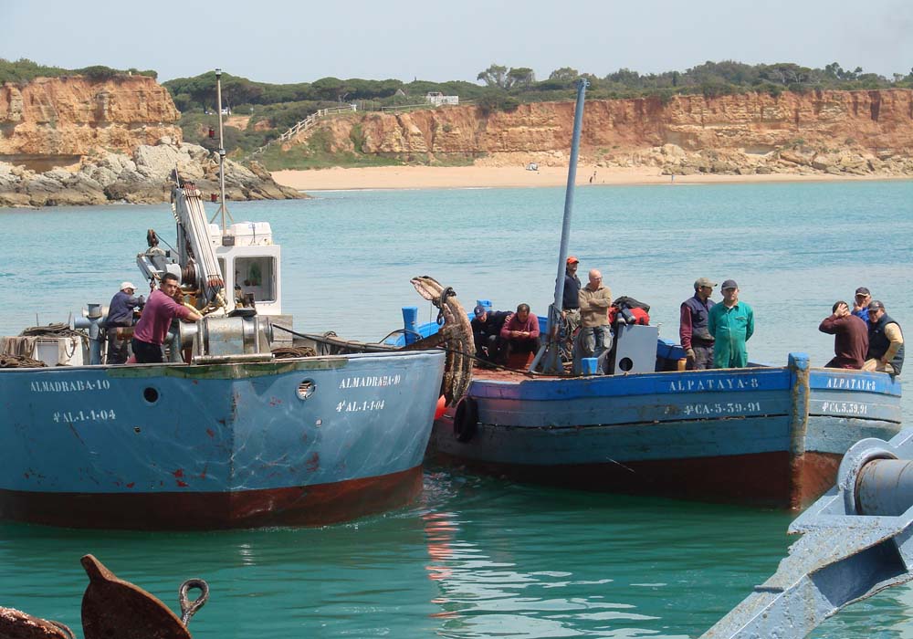 Preparativos de la almadraba