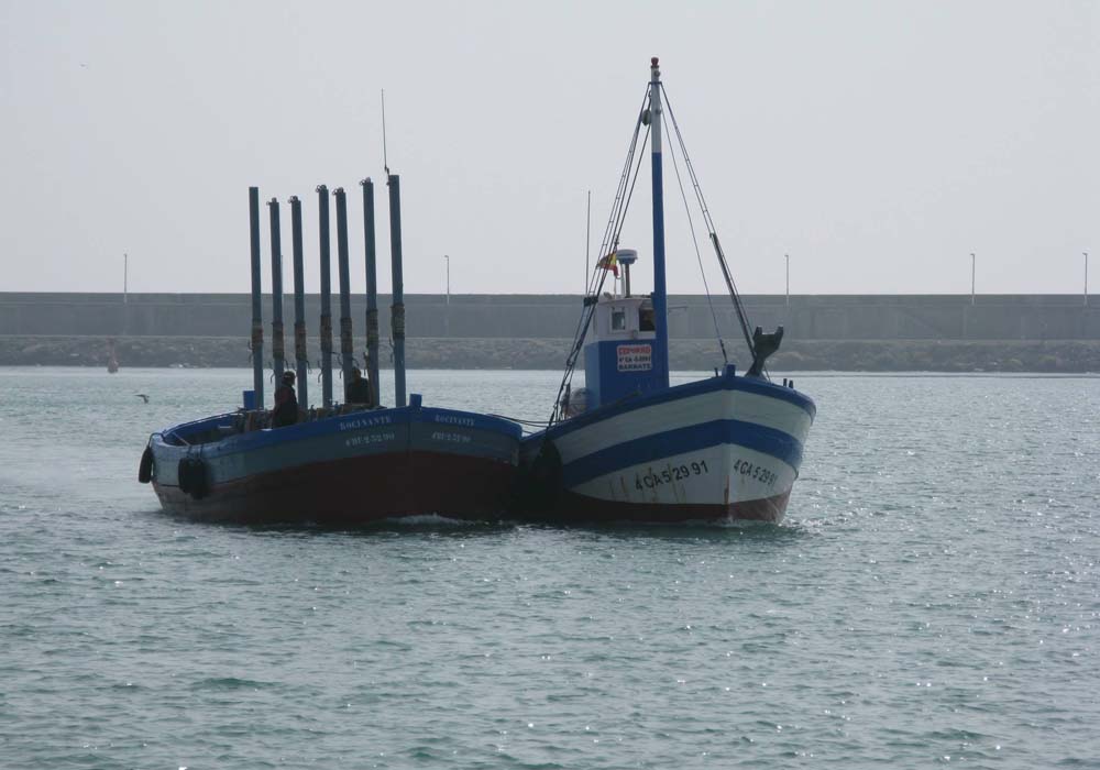 Barcos de almadraba