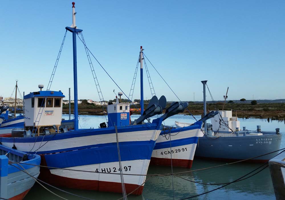 Barcos de almadraba