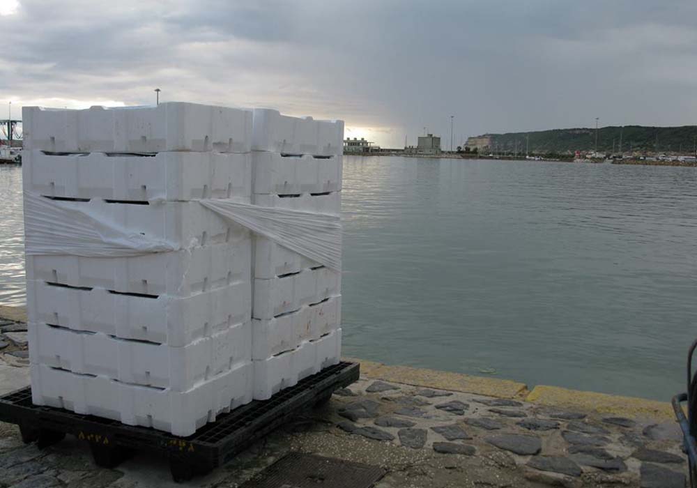 Cajas de pescado en el muelle