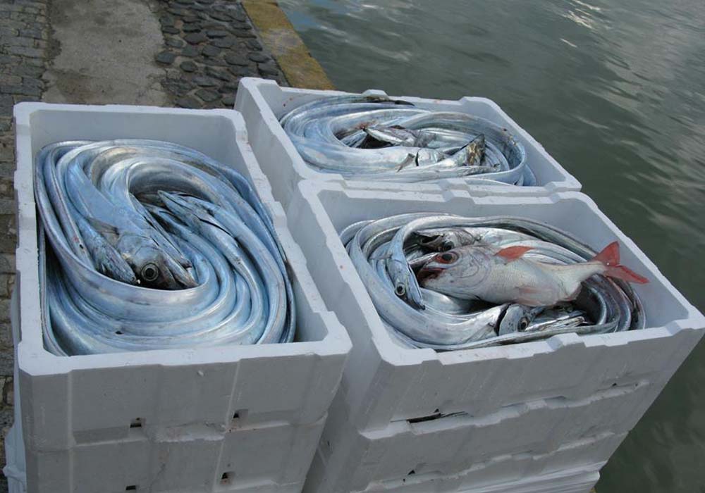 SubCajas de pescado en el muelle