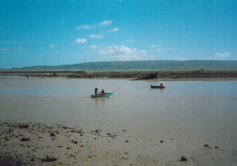 Mariscadores en el río Barbate