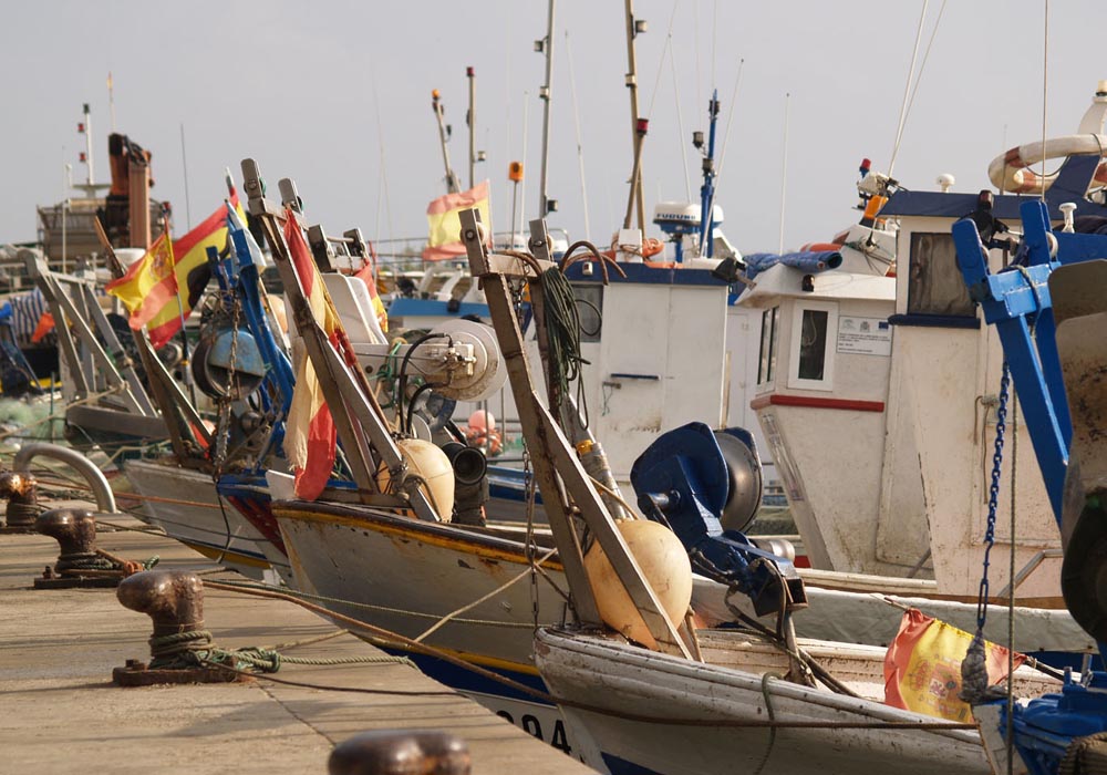 Pesqueros de rastro en el muelle