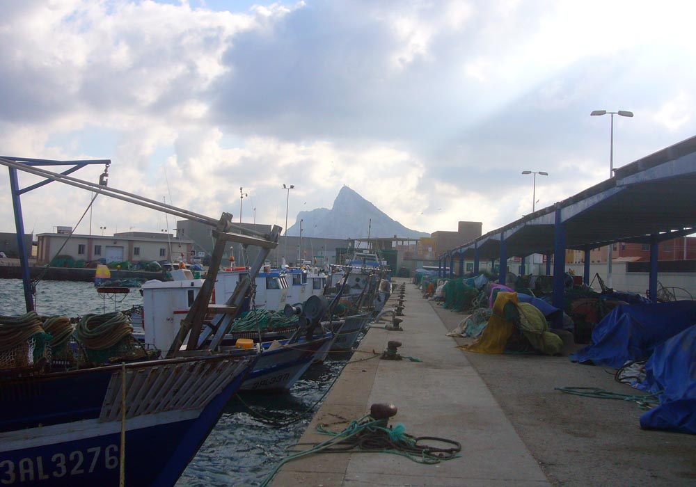 Muelle de atraque y toldo de redes