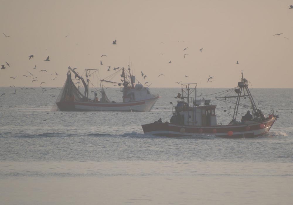 Pesqueros regresando al puerto