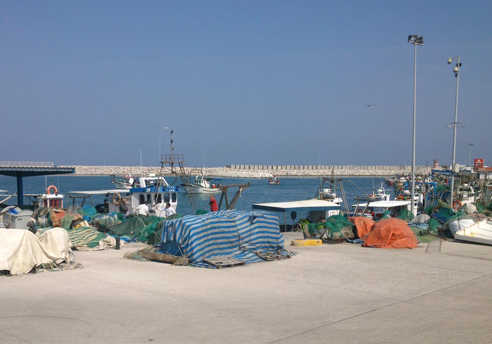 Artes de pesca en el muelle