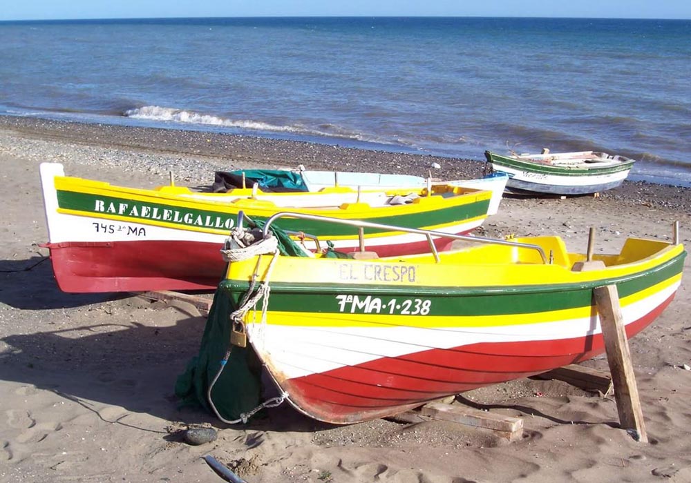 Embarcaciones utilizadas para la regata de botes a remo en las fiestas del Carmen