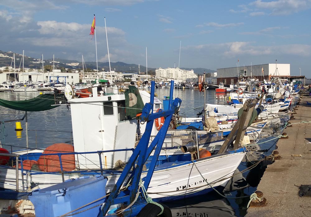 Vista del muelle pesquero