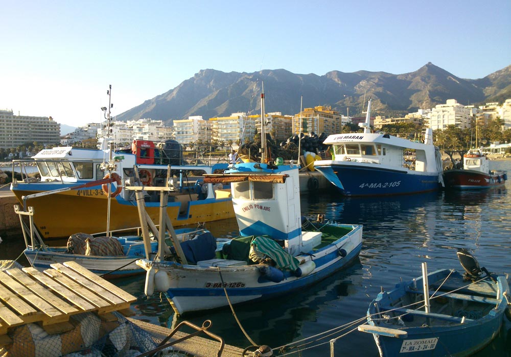 Vista de Sierra Bermeja desde el muelle pesquero