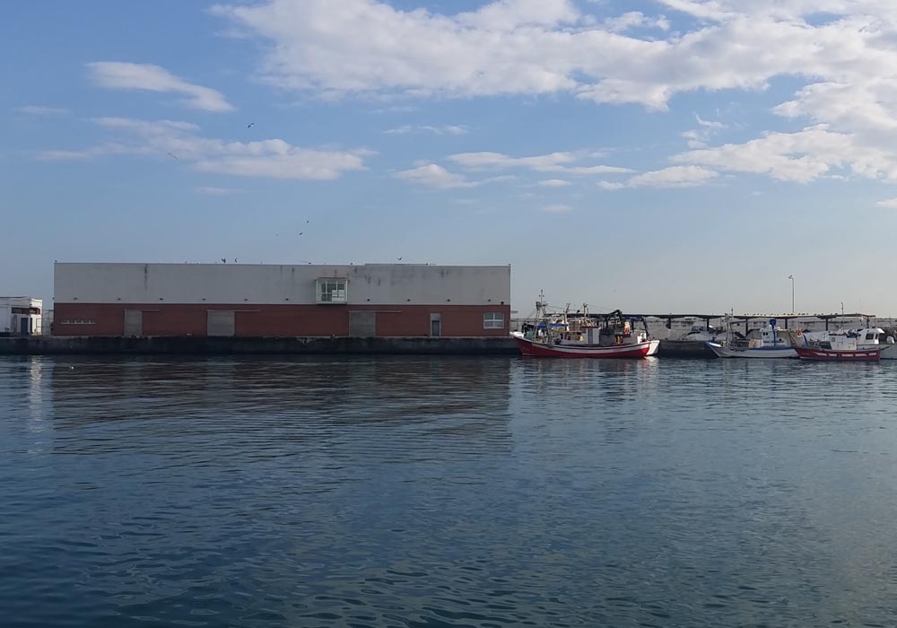 Vista de la lonja y el muelle pesquero