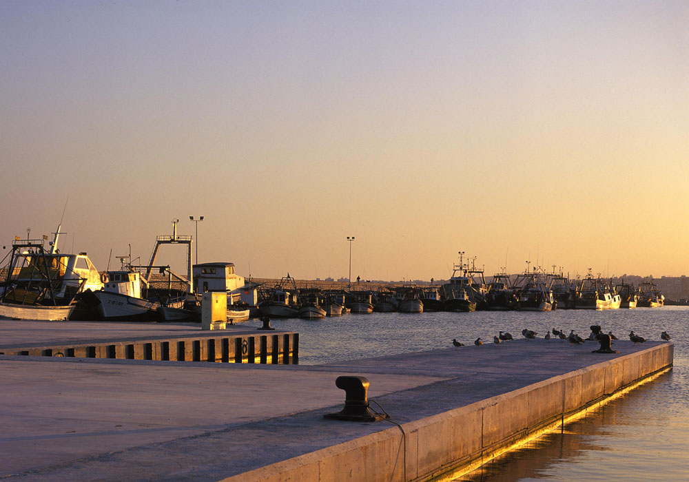 Puerto de Caleta de Vélez