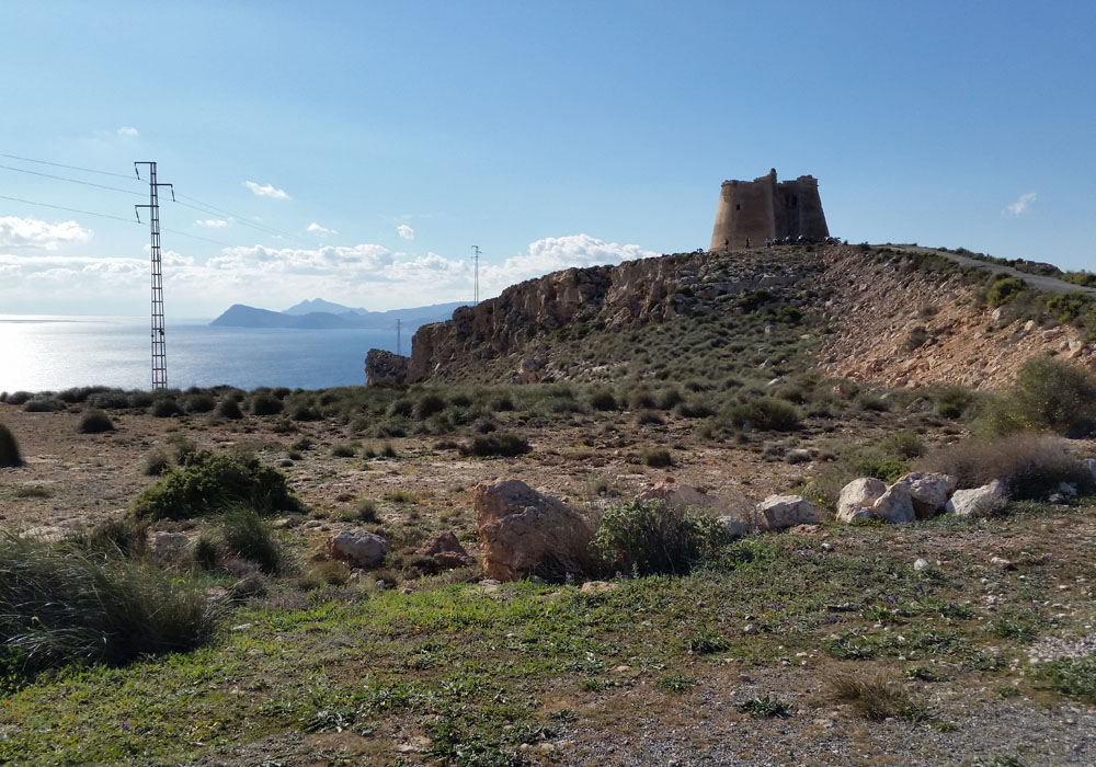 Torre de Mesa Roldán