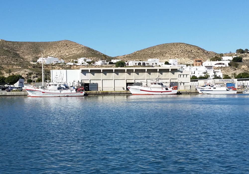 Vista de la lonja desde el muelle de atraque