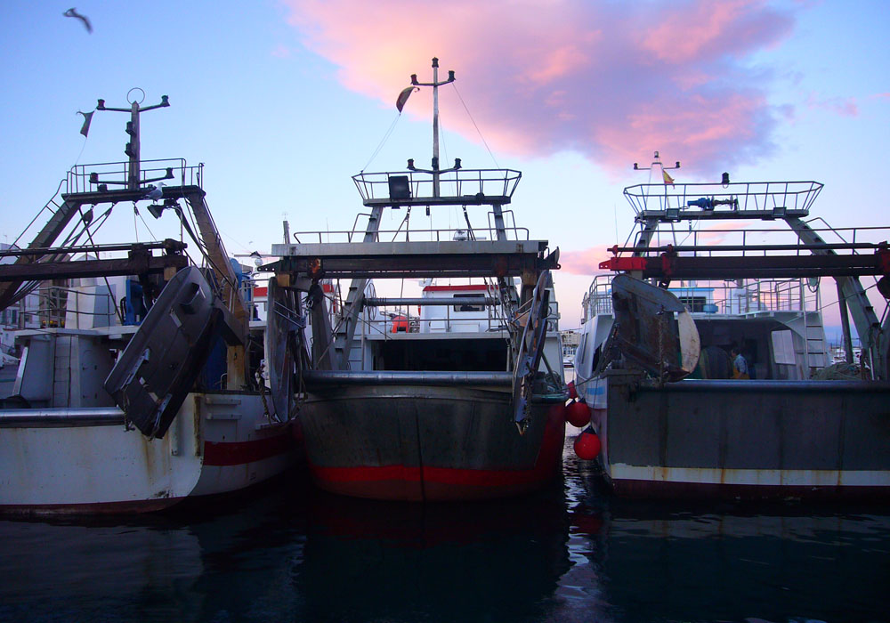 Arrastreros de fondo