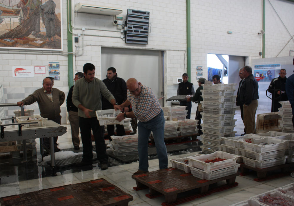 Colocando cajas de pescado en la cinta para la subasta