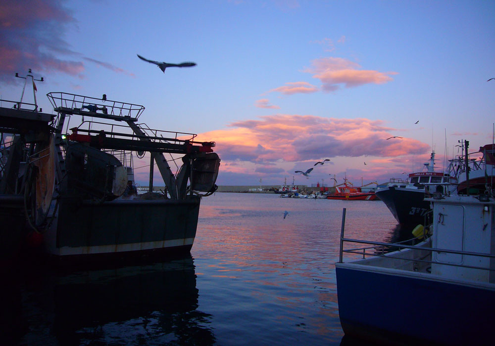 Atardecer en el puerto